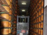 Parmigiano-Reggiano